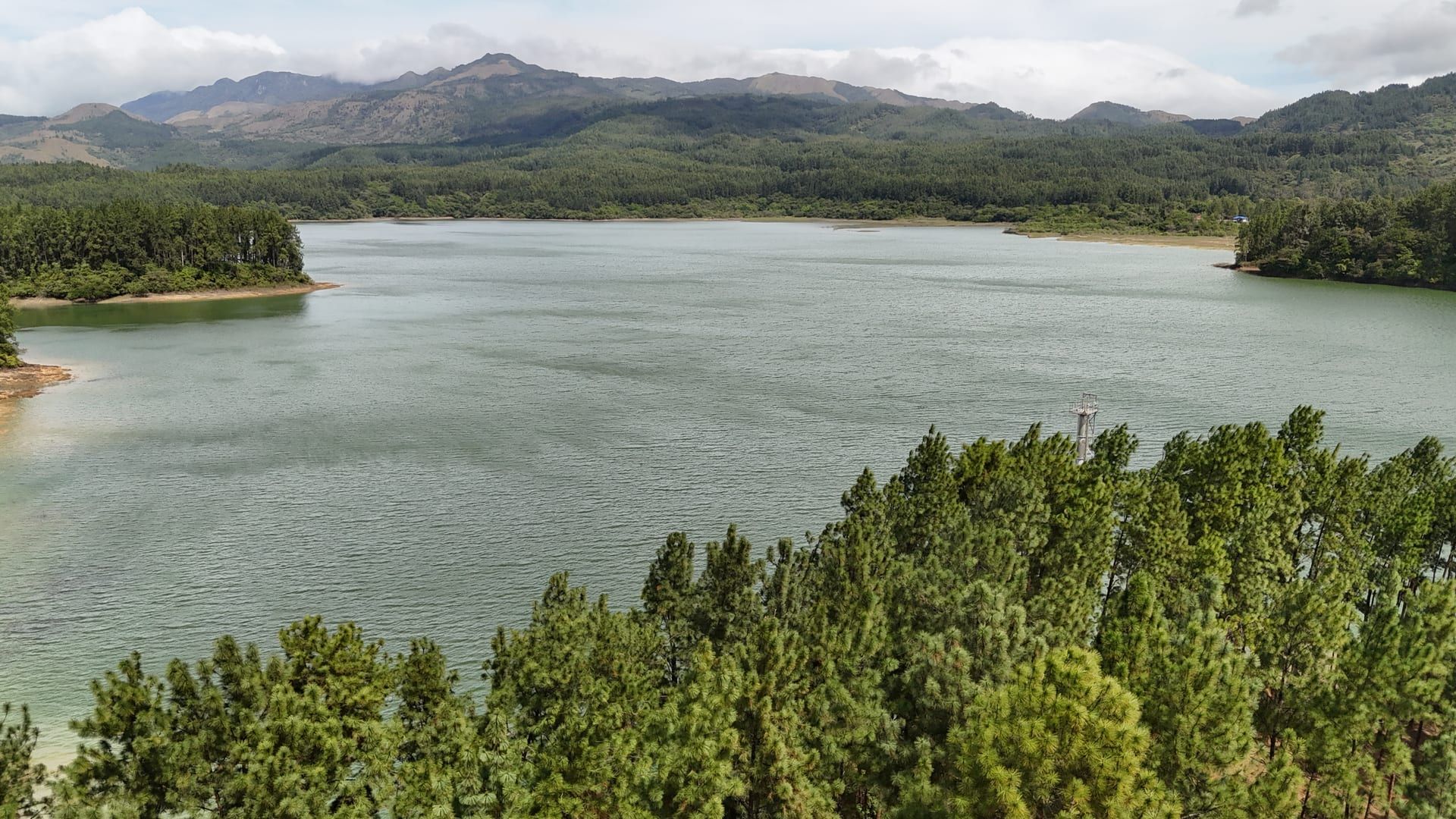 Reserva Forestal La Yeguada
