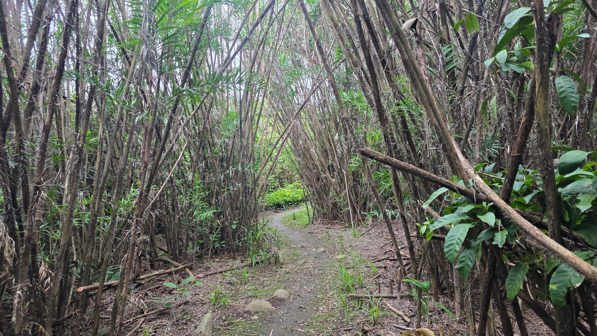 Isla Iguana — Refugio de Vida Silvestre