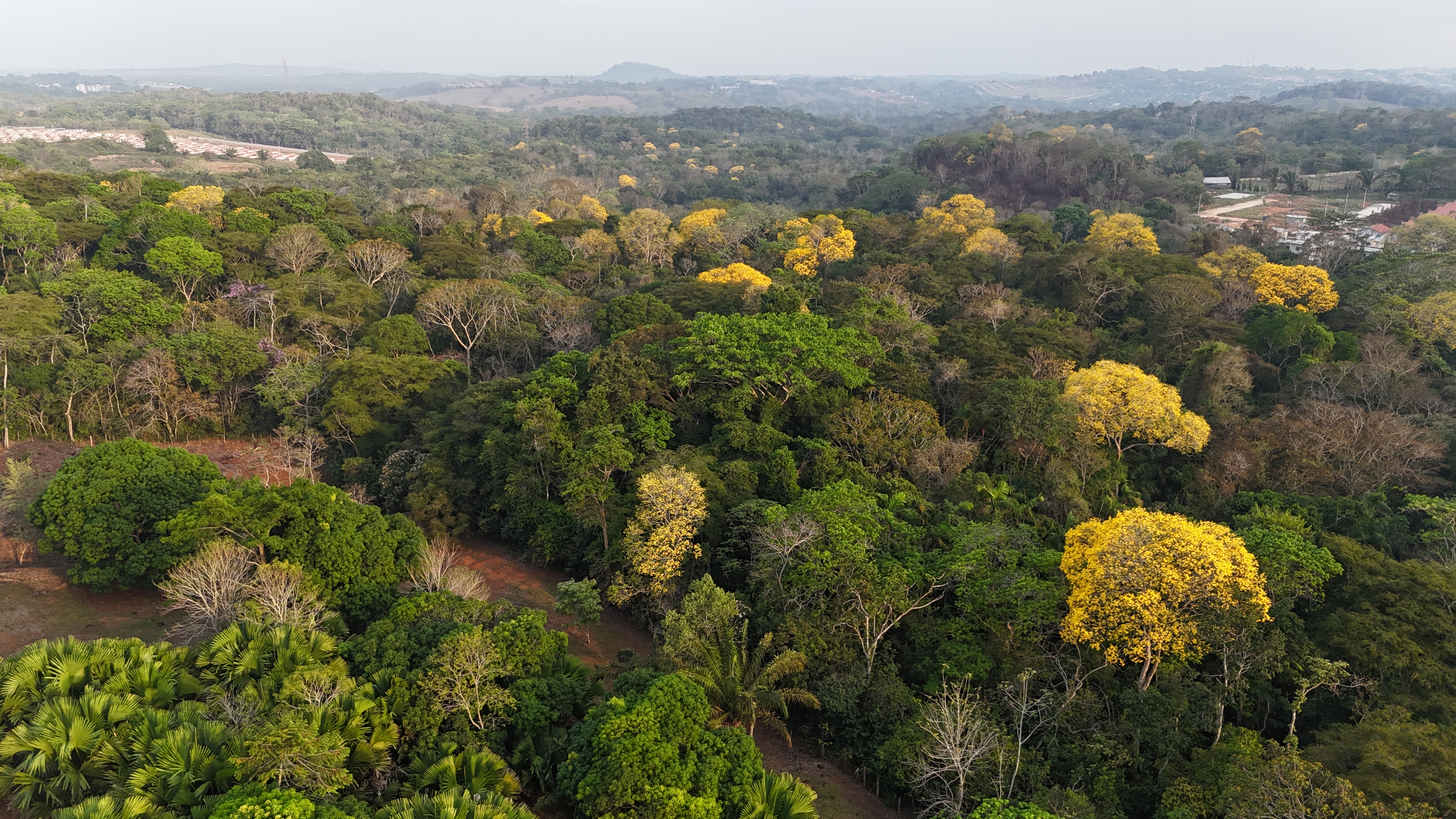 Vista panorámica de Panamá
